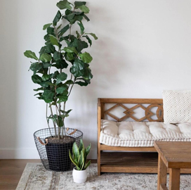 Gallery_1.jpg